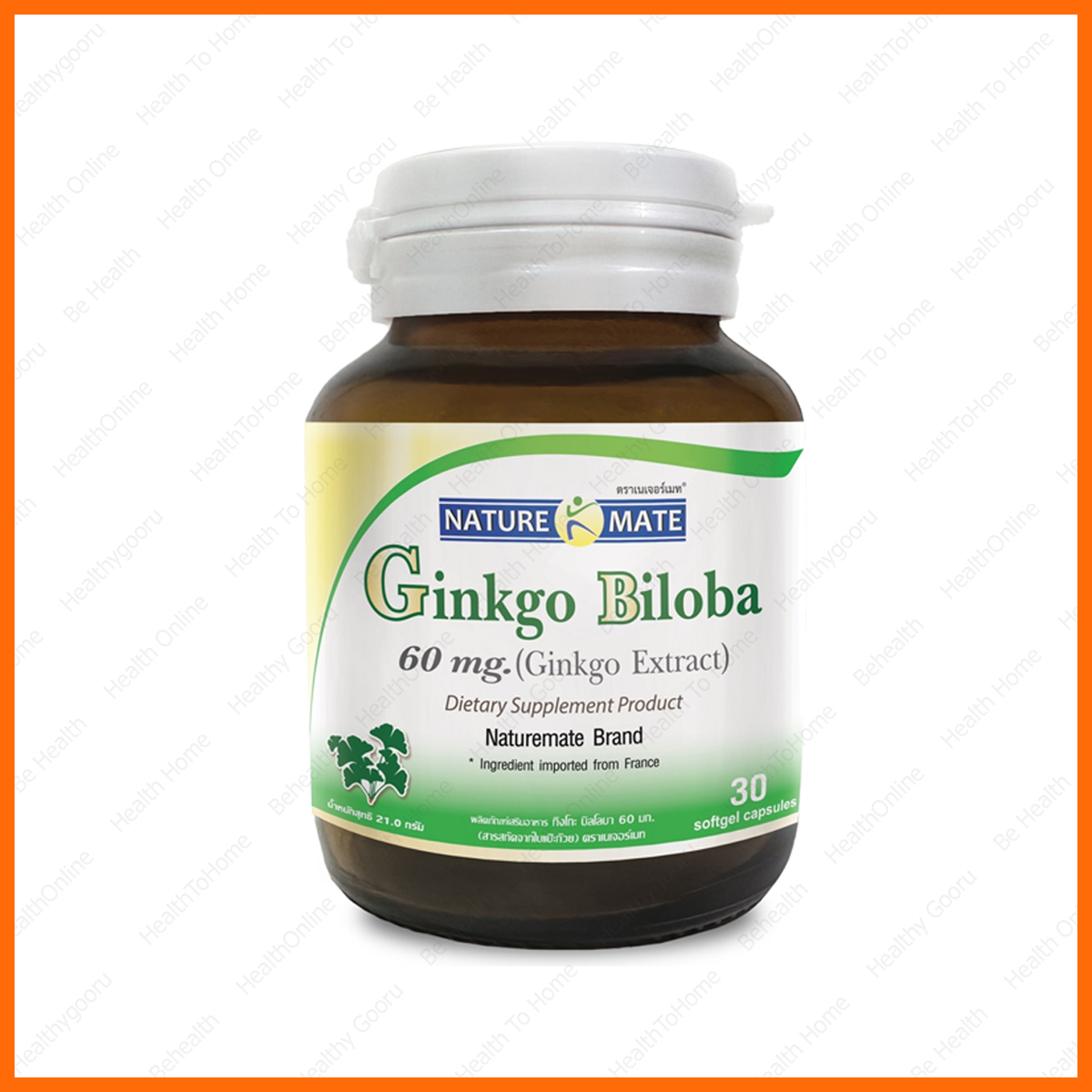 Tumeric Springmate Naturemate Springmate Ginkgo Biloba เนเจอร์เมท สารสกัดจากใบแป๊ะก๊วย 60 ...