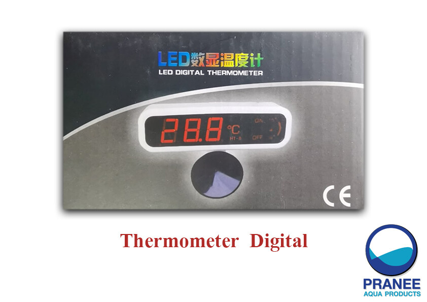 ปรอทวัดอุณหภูมิดิจิตอล LED Thermometer