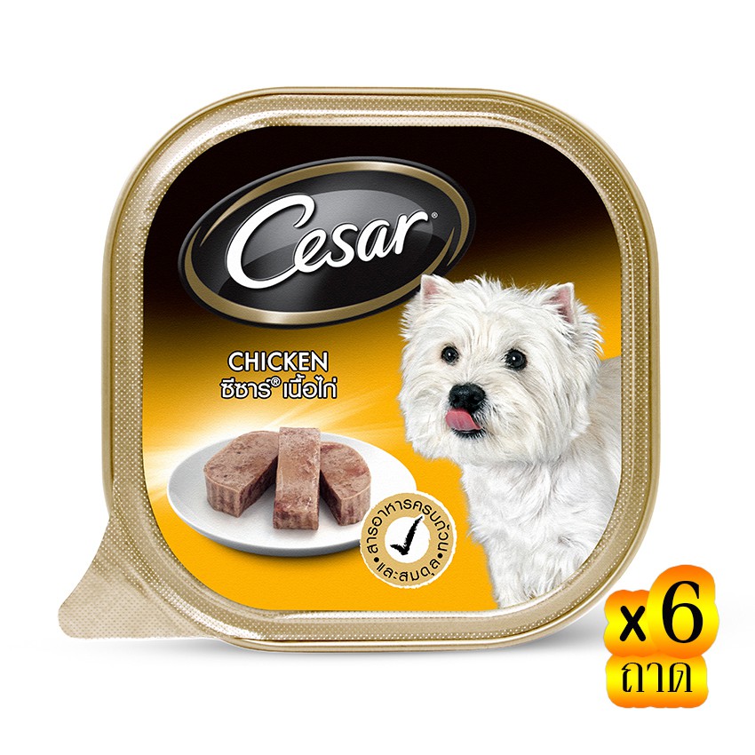 CESAR ซีซาร์ อาหารสุนัขชนิดเปียก รสไก่ 100 กรัม (รวม 6 ถาด)