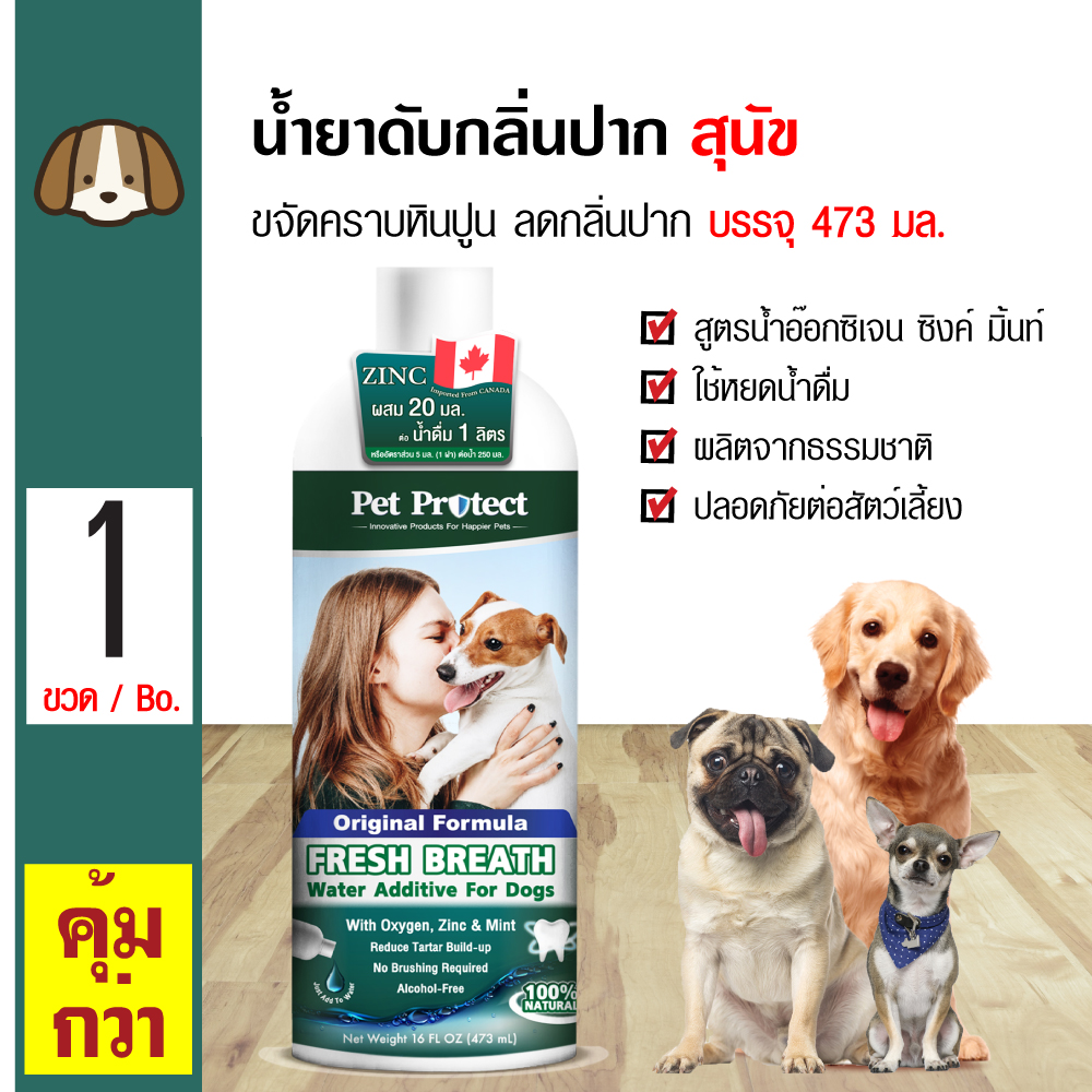 Pet Protect Dog Original น้ำยาดับกลิ่นปากสุนัข ใช้ผสมน้ำดื่ม ลดคราบหินปูน ลดกลิ่นปาก สำหรับสุนัขทุกสายพันธุ์ (473 มล./ขวด)