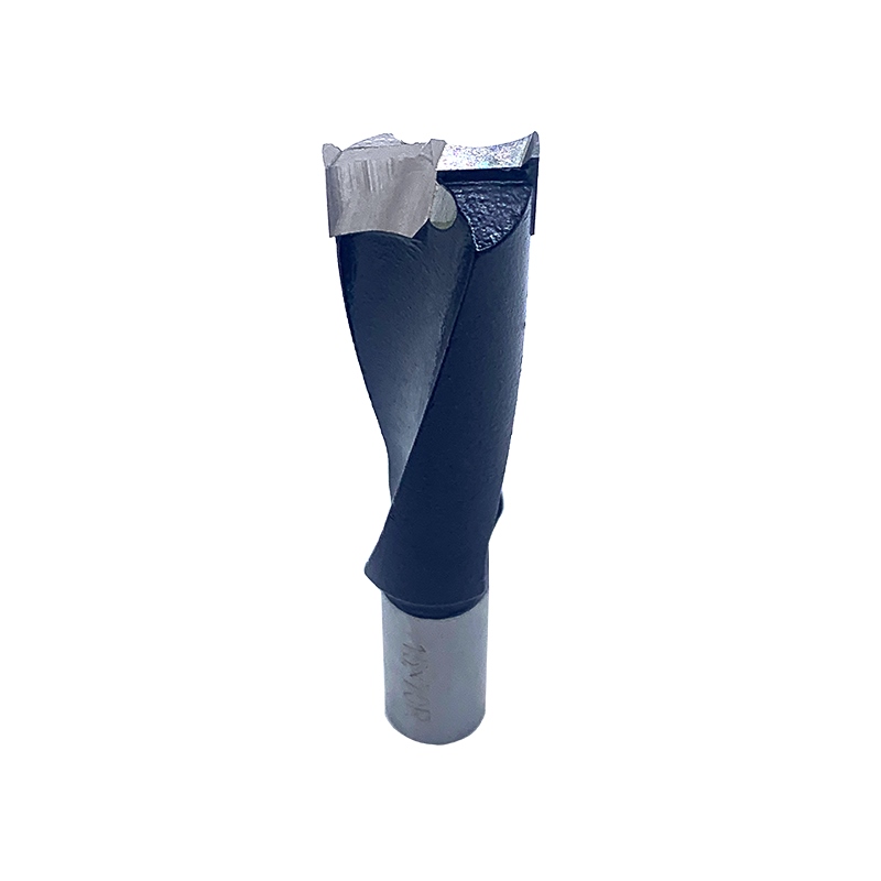 LDMD 1 pc Two Flutes Dowel Drill Bits Woodworking Tools Blind Hole