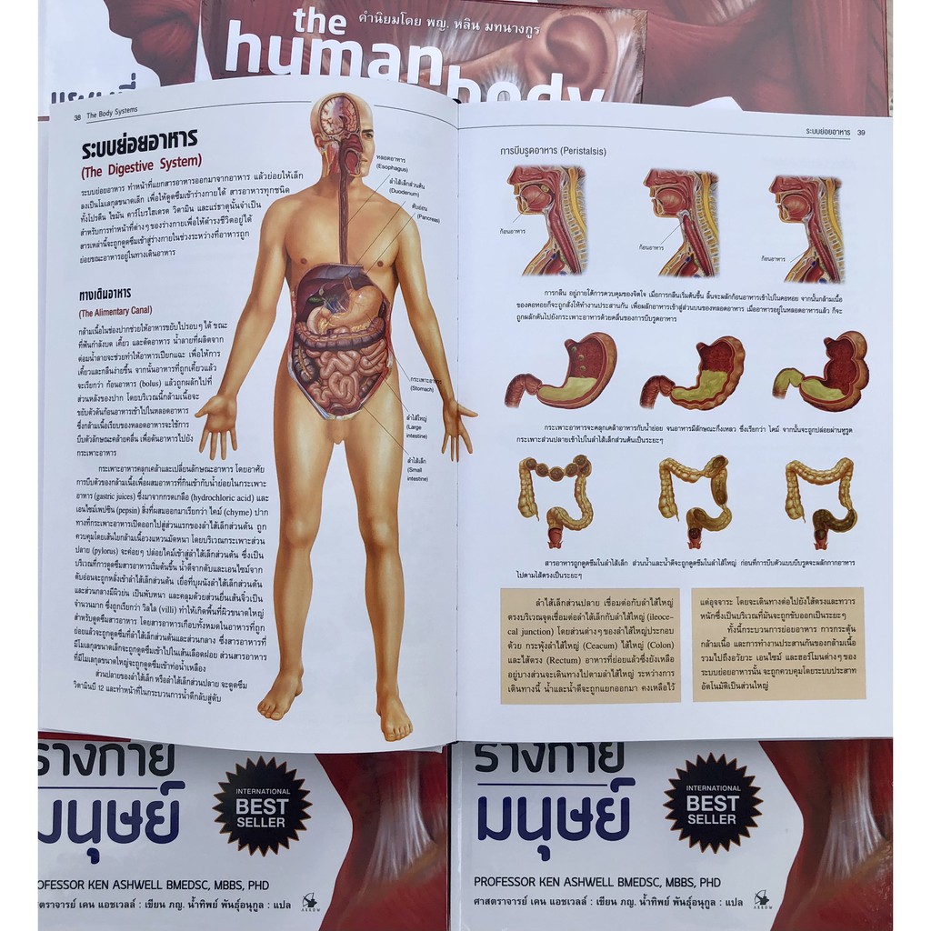 หนังสือ แผนที่ร่างกายมนุษย์ the human body atlas (ปกแข็ง) ภาพสีทั้งเล่ม