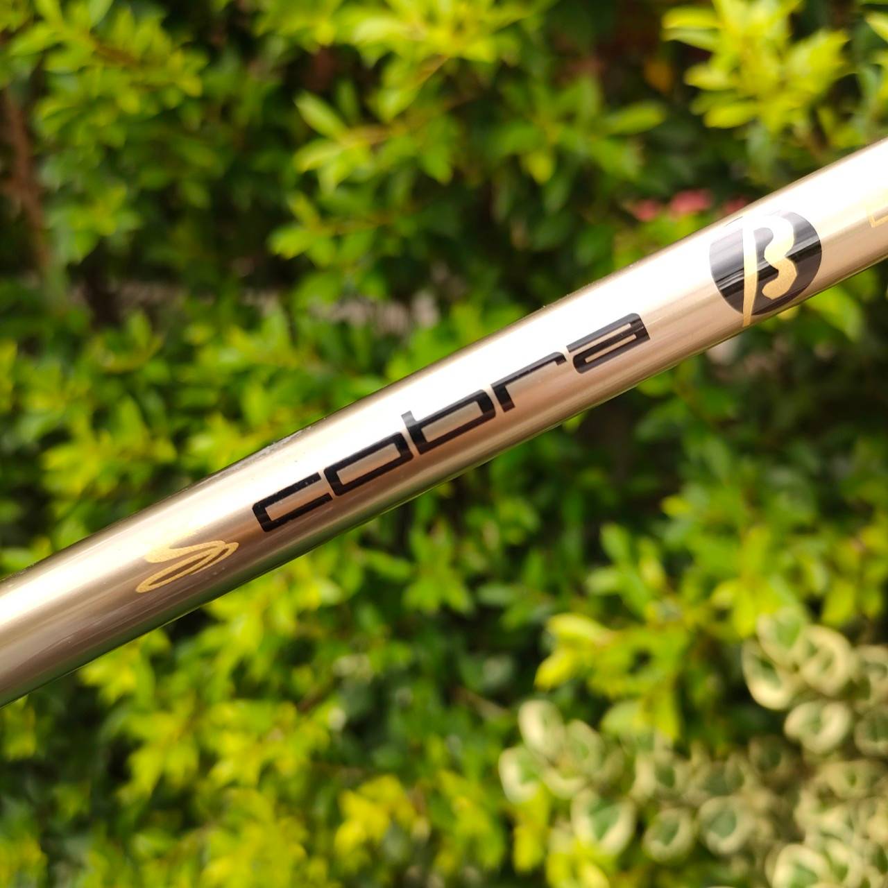 Hyper Steel R FW7 KING COBRA MSPEED OFFSET HYPER STEEL ก้าน BASSARA FLEX LITE วัสดุ ...