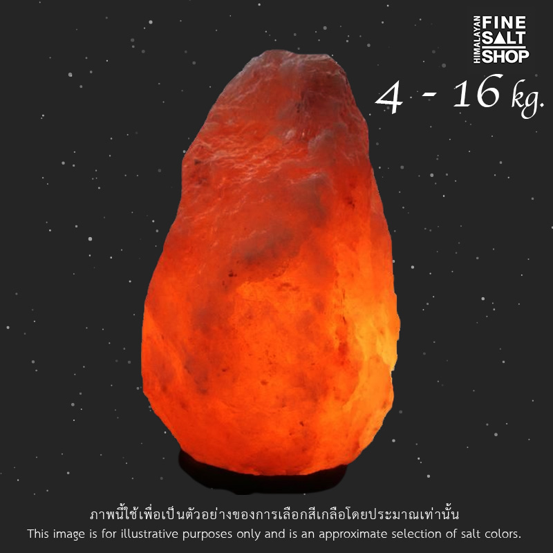 size-mxl-100-himalayan-salt-lamp-wooden