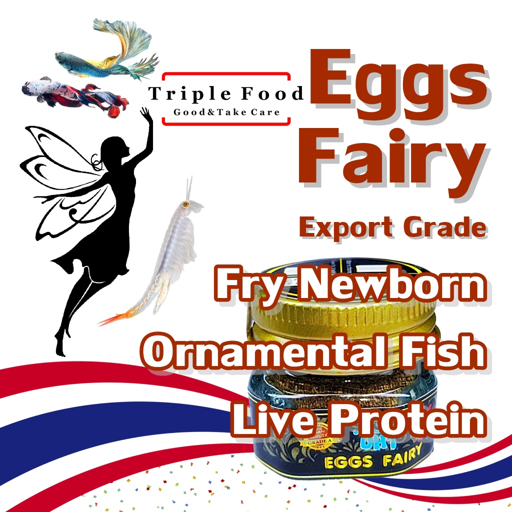 60k Fairy Sterile Fish Food Fairy Shrimp Eggs Food For New born fish