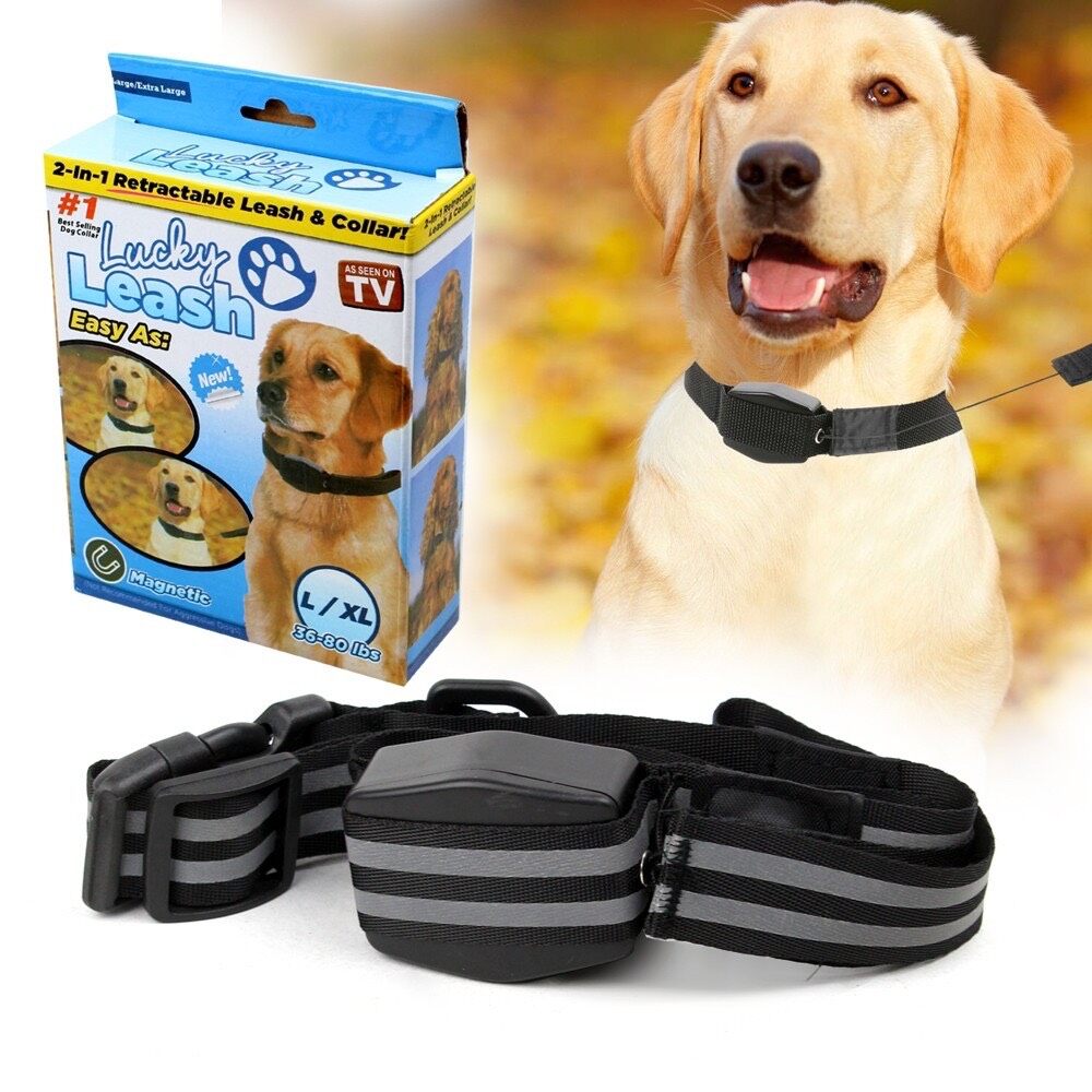 lucky leash easy สายจูงสัตว์เลี้ยง L-XL รุ่น Dog-Magnetic-Lucky-Leash-L-XL-00e-J1