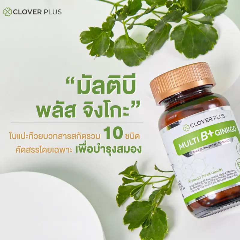 ภาพสินค้าClover Plus Multi B+ Ginkgo มัลติบี พลัส จิงโกะ สารสกัดจากใบแป๊ะก๊วย อาหารเสริมบำรุงสมอง เพิ่มความจำ ลดอาการสมาธิสั้น แก้ปวดหัวไมเกรน อัลไซเมอร์ ช่วยในการนอนหลับ บำรุงระบบประสาท เสริมสร้างภูมิต้านทานให้ร่างกาย (สุดคุ้ม x2) แถม จิงโกะ โคคิวเท็น 7 แคปซูล จากร้าน CloverPlus บน Lazada ภาพที่ 2