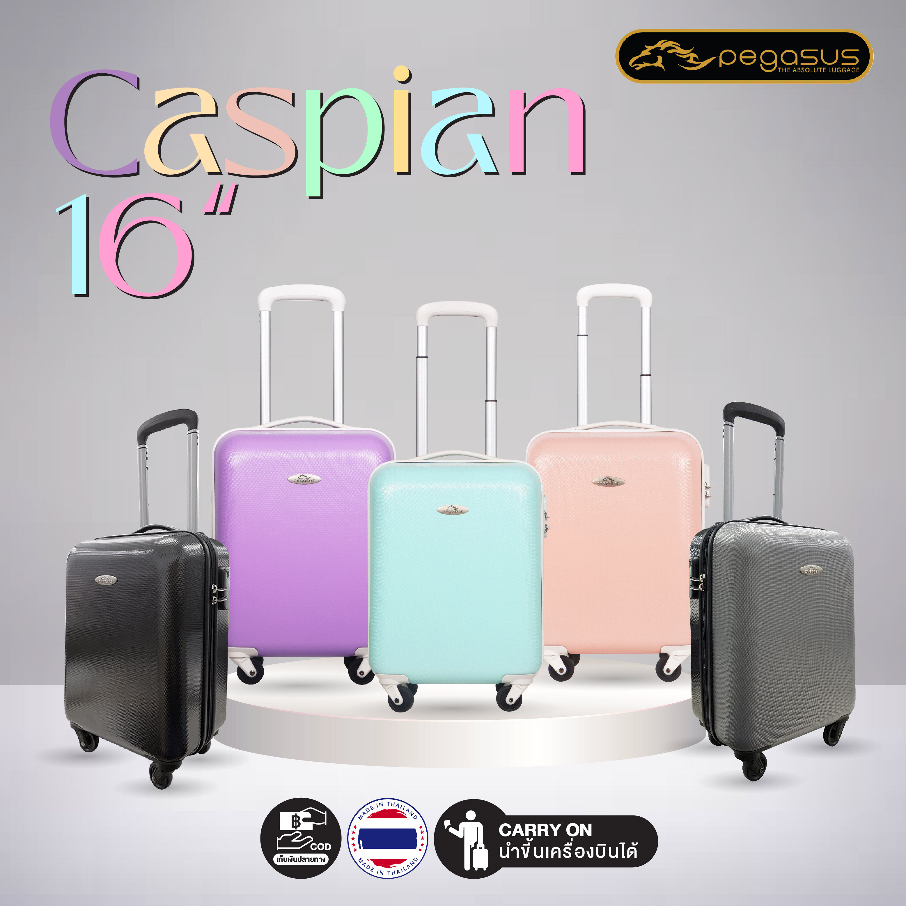 Pegasus best sale luggage set