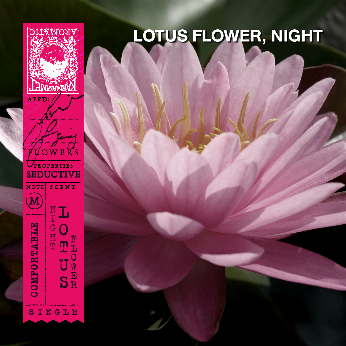 KARMAKAMET Original Room Perfume Diffuser / Single คามาคาเมต ก้านไม้หอมกระจายกลิ่น น้ำหอมบ้าน ก้านไม้หอม น้ำหอมปรับอากาศ บ้านหอม  กลิ่น Night Lotus Flowerปริมาณ (มล.) 200