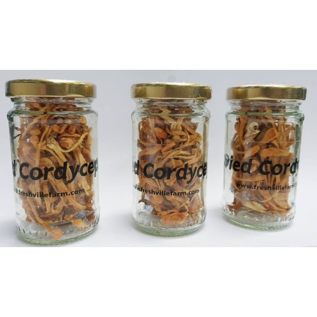 Hot Sale dried cordyceps ถั่งเช่าสีทองอบแห้ง ราคาถูก อาหาร อาหารอบแห้ง