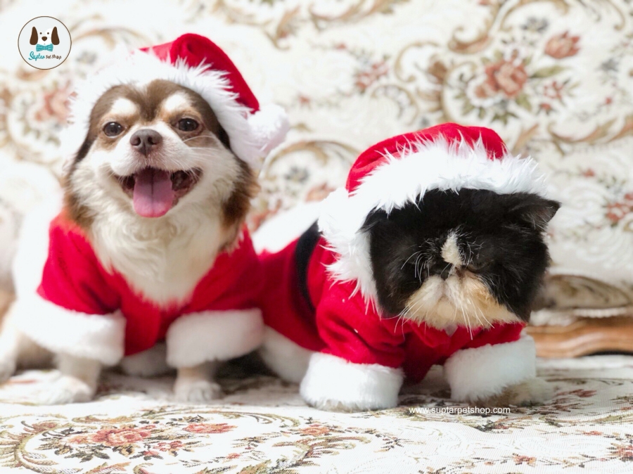 คริสต์มาส ซานตาครอส คริสต์มาสสัตว์เลี้ยง ชุดซานต้า ชุดแซนตี้ Christmas เสื้อผ้าสุนัข เสื้อหมา เสื้อแมว ซานต้าหมา ซานต้าแมว