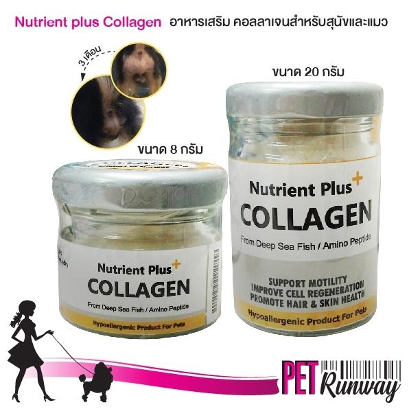 Nutrient plus Collagen อาหารเสริมสุนัข อาหารเสริมแมว อาหารเสริมคอลลาเจนสำหรับสุนัขและแมว อาหารเสริมคอลลาเจนสำหรับสัตว์เลี้ยง ขนาด20กรัม