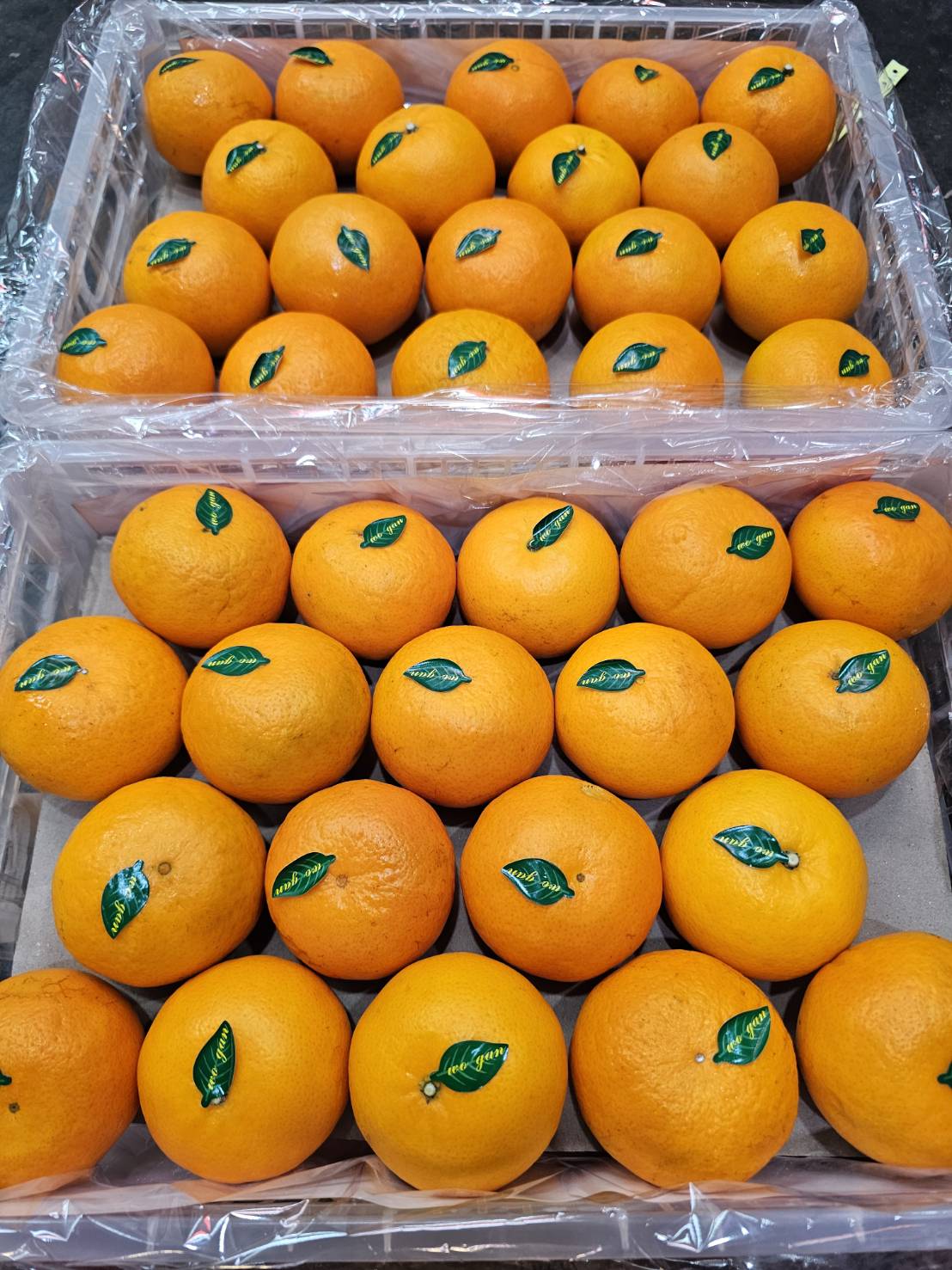 ส้มไต้หวัน 5 กิโลกรัมรวมกล่อง (ประมาณ 36 ลูก) - Rakdee fruit - ThaiPick