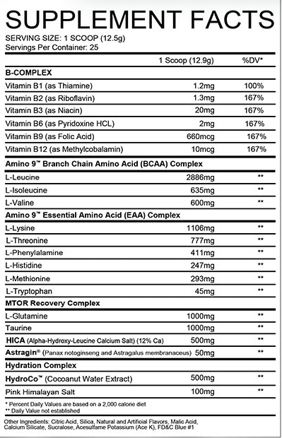 swft-aminix-bcaa-eaa-high-quality-amino-acids-25-servings-b-vitamins