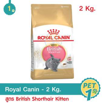 Royal Canin British Shorthair Kitten 2 Kg. สำหรับลูกแมว พันธุ์บริติช ชอร์ตแฮร์ 2 กิโลกรัม