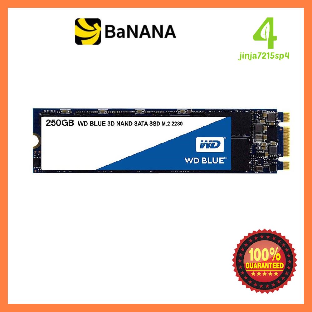 โปรโมชั่นสุดคุ้ม โค้งสุดท้าย WD SSD 250GB M.2 R550MB/s W525MB/s Blue 5 Years by Banana IT ด่วน ของมีจำนวนจำกัด