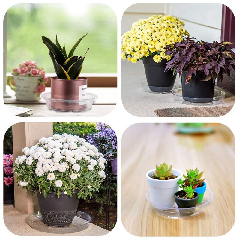 Plant Saucers, 10 Pack of 30cm (12 Inch), Transparent Flower