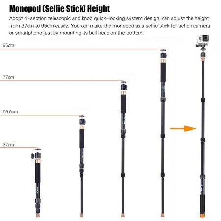 Andoer Q148B การถ่ายภาพแบบพกพาอะลูมินัมอัลลอยไม้เซลฟี่ถ่ายรูปเป็น Selfie Stick 4 ส่วน Telescopic Twist - ระบบล็อค 32 เซนติเมตร - 95 เซนติเมตรปรับความสูงสำหรับ DSLR Camera ILDC กำลังการผลิตสูงสุด 4 กิโลกรัม - INTL