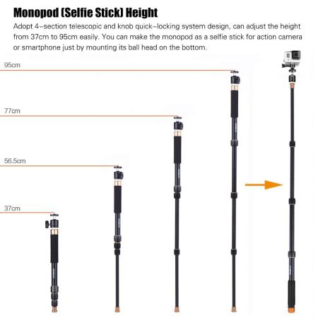 Andoer Q148B การถ่ายภาพแบบพกพาอะลูมินัมอัลลอยไม้เซลฟี่ถ่ายรูปเป็น Selfie Stick 4 ส่วน Telescopic Twist - ระบบล็อค 32 เซนติเมตร - 95 เซนติเมตรปรับความสูงสำหรับ DSLR Camera ILDC กำลังการผลิตสูงสุด 4 กิโลกรัม Outdoorfree ^ - INTL