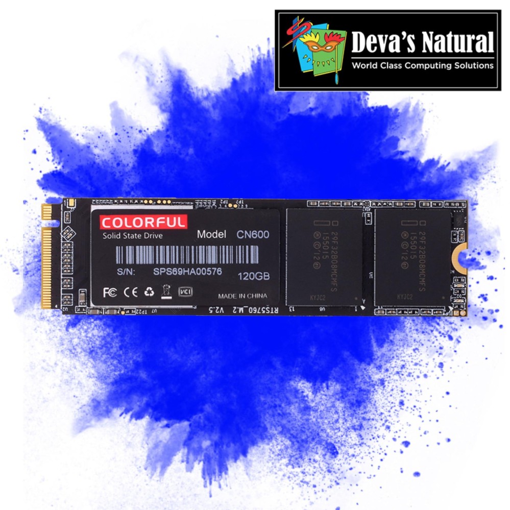 Deva's SSD CN600