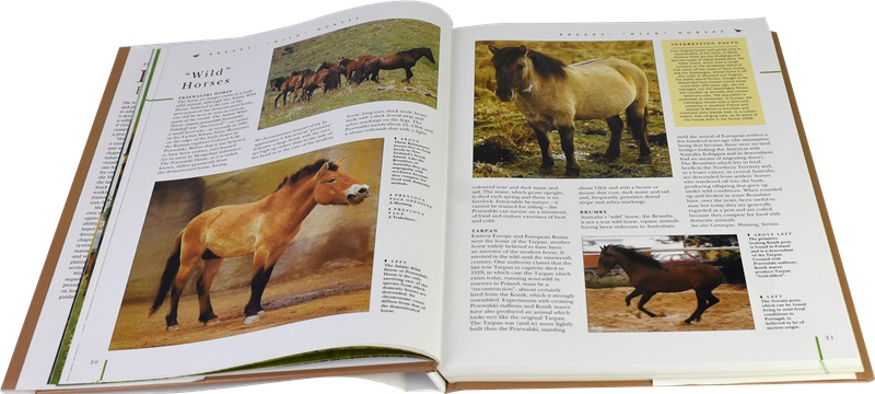 The breed and cultural theme of the Ultimate Encyclopedia of horses ...