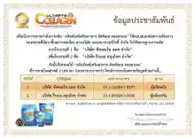 ภาพขนาดย่อของภาพหน้าปกสินค้าUltimate Collagen Tri-Peptide อัลติเมทคอลลาเจน ไตรเปปไทด์ ขนาด 250 กรัม แถม ขนาด 50 กรัม 3 ซอง จากร้าน 28Power Shop บน Lazada ภาพที่ 2