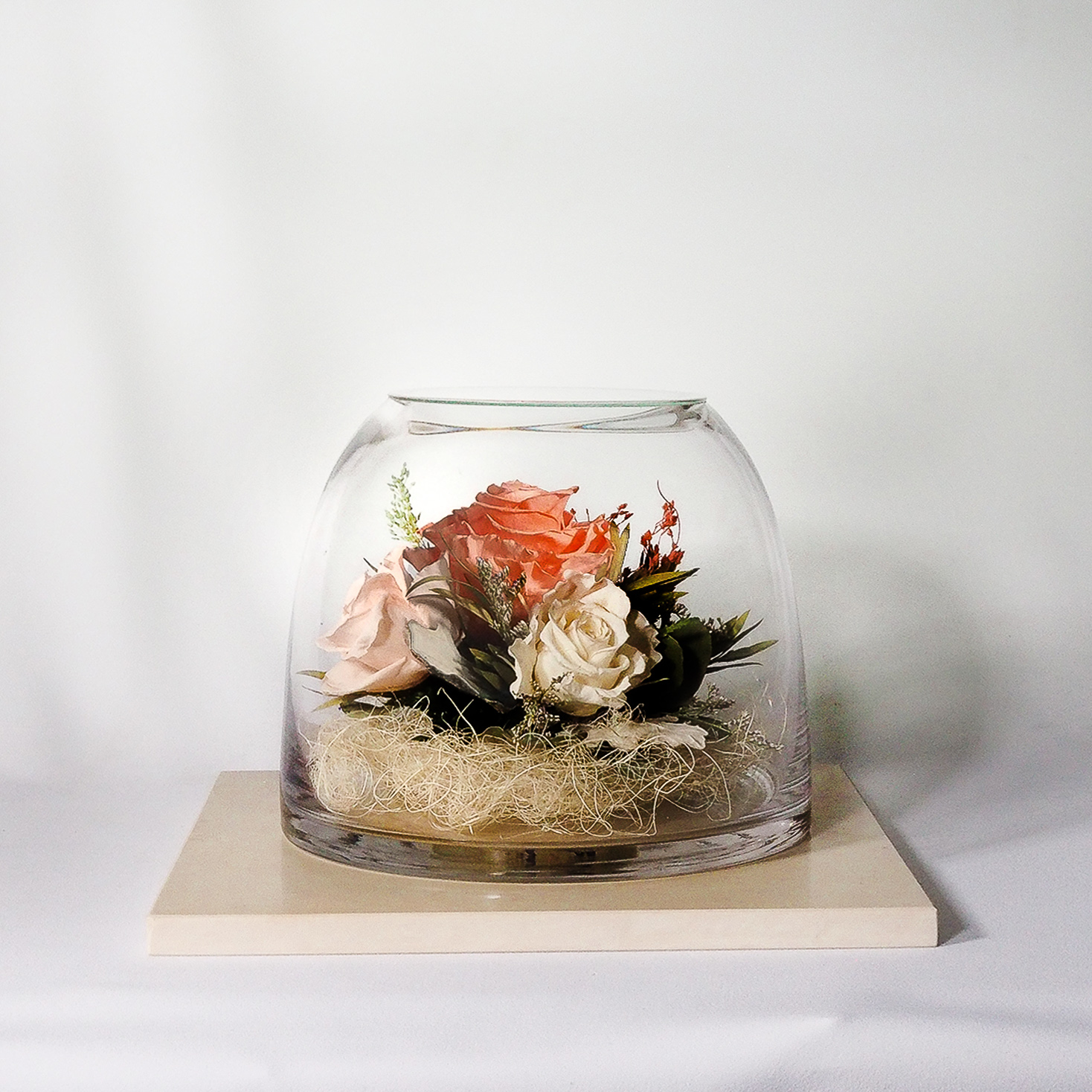 Preserved Flower Imported From Japan (Peach-Ivery White-Pink Champagne)(67174). For Valentines, Gift, Home Decoration, Anniversary and present for your love ones. 100% natural flower.