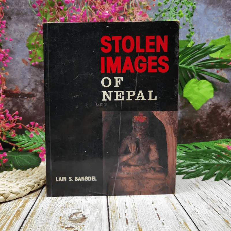 Stolen Images of Nepal