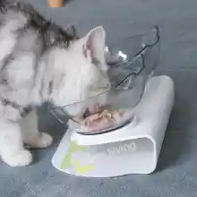 ภาพขนาดย่อของภาพหน้าปกสินค้าHAREMCAT Dog Bowl Cat Dish Pet feeder ชามอาหาร ชามสำหรับแมว ชามอาหารแมวแบบคู่ ออกแบบถูกต้องตามหลักสรีระสัตว์เลี้ยง ช่วยให้ไม่ปวดคอ ชามสำหรับแมว อาหารแมวถาดปรับชามใส่น้ำ เพื่อป้องกันปากมดลูกกระดูกสันหลังแมวและลูกสุนัข ชามอาหารและน้ำ จากร้าน HARMCAT บน Lazada ภาพที่ 6