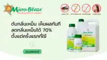 ภาพขนาดย่อของภาพหน้าปกสินค้าMicro-Blaze ขวด 250มล. น้ำยากำจัดกลิ่นเหม็น ในฟาร์มปศุสัตว์ ย่อยสลายสิ่งปฏิกูล บ่อทิ้งซาก ปรับสภาพแวดล้อมเรื่องกลิ่น ลดข้อร้องเรียนของชุมชน จากร้าน Micro-Blaze บน Lazada ภาพที่ 3