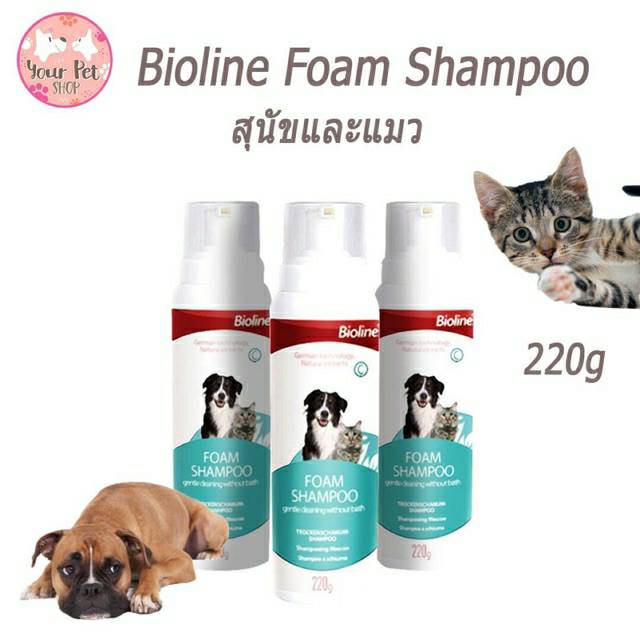 Bioline Foam Shampoo สำหรับสุนัขและแมว แชมพูอาบน้ำหมา โฟมอาบน้ำหมา แชทพูอาบน้ำแห้ง 220g.