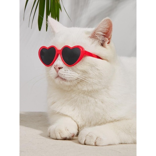 hot แว่นตาแมว รูปหัวใจ กรอบสีแดง เลน์สีดำ แว่นตาหมา แว่นแมว แว่นหมา  แว่นตาสัตว์  Pet glses