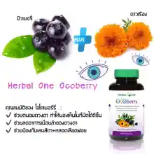 ภาพขนาดย่อของภาพหน้าปกสินค้าHerbal One Ocoberry อ้วยอันโอสถ โอโคเบอร์รี่ วิตามิน บำรุงสายตา การเมื่อยล้าของดวงตา ขนาด 60 เม็ด 19150 จากร้าน Medicalhub บน Lazada ภาพที่ 1