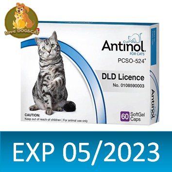 Antinol Cat 60 เม็ด อาหารเสริมบำรุงข้อสำหรับแมว EXP10/2023