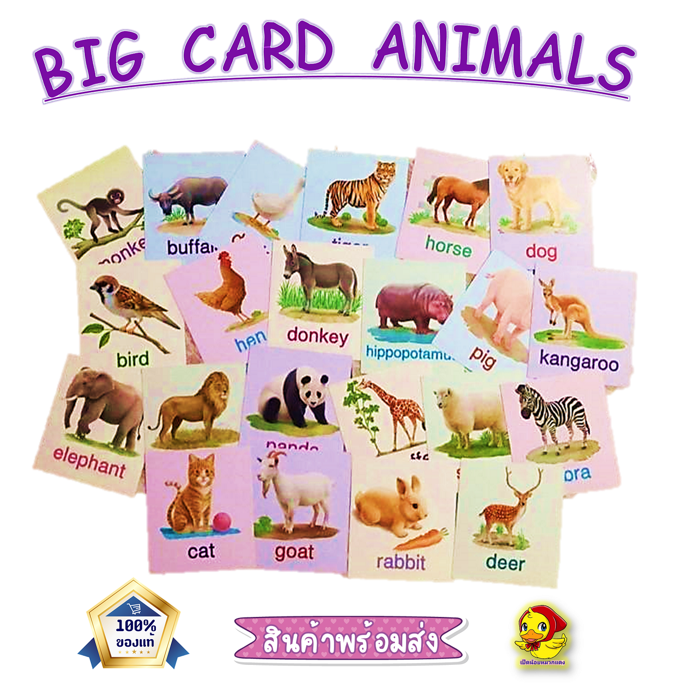 Flash card สัตว์ป่ามหาสนุก แฟลชการ์ด Flash Card Animal การ์ดคำศัพท์พื้นฐาน บัตรคำ เสริมพัฒนาการ  flashcard สัตว์น่ารัก