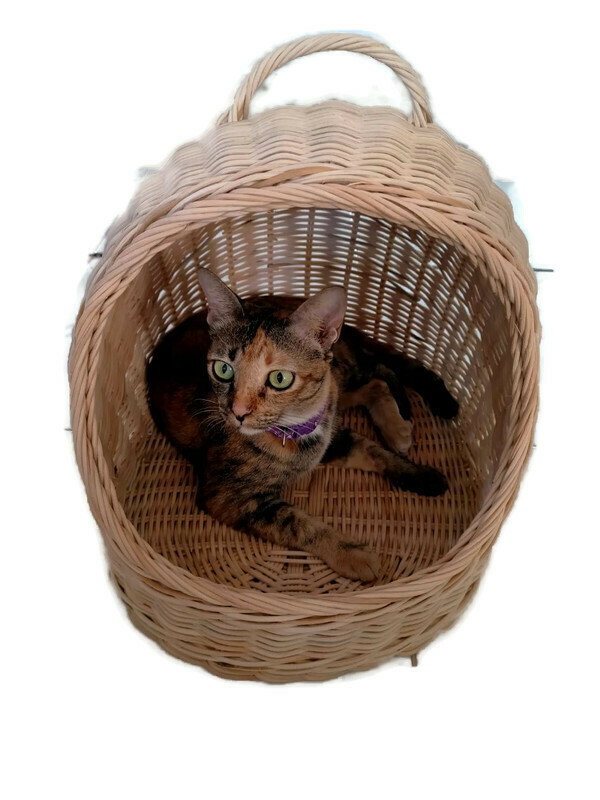 คอนโดแมว บ้านโดมหวาย บ้านแมว ผลิตจากไม้หวายแท้ 100% ขนาด S : 12x16x12 นิ้ว (สีเบจ+ไม่รวมเบาะรองนอน) ที่นอนสัตว์เลี้ยง ตะกร้าแมว ที่นอนแมว Home Pet