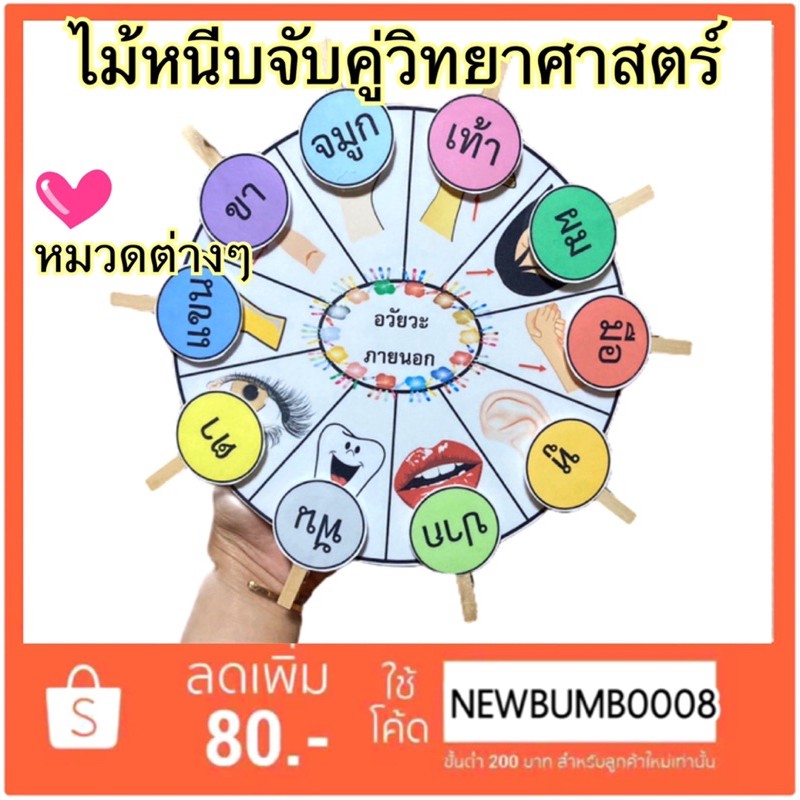 hot สื่อการสอน สื่อการสอนทำมือ ไม้หนีบจับคู่วิทศาสตร์