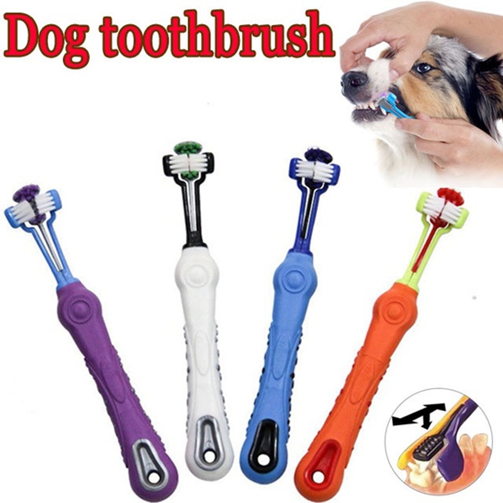 rubber toothbrush for dogs