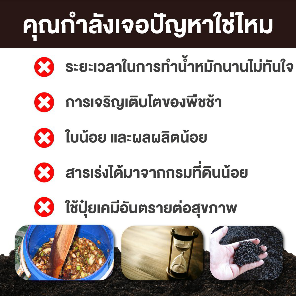 BIONIC - 2 ไบโอนิค 2 พด.2 สารเร่งสำหรับทำ ปุ๋ยอินทรีย์น้ำ ขนาด 100 กรัม ...