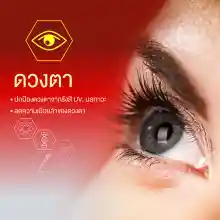 ภาพขนาดย่อของภาพหน้าปกสินค้าVistra Astaxanthin Plus Vitamin E วิสทร้า แอสตาแซนธิน (6 mg.) สาหร่ายแดง พลัสวิตามินอี (30 แคปซูล) จากร้าน DKP_Officialstore บน Lazada ภาพที่ 7