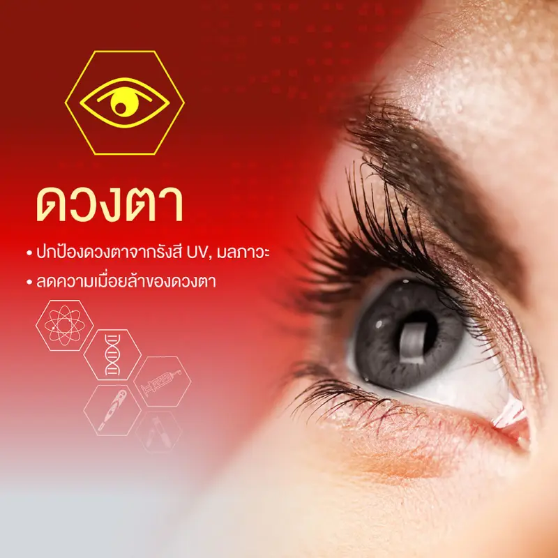 ภาพสินค้าVistra Astaxanthin Plus Vitamin E วิสทร้า แอสตาแซนธิน (6 mg.) สาหร่ายแดง พลัสวิตามินอี (30 แคปซูล) จากร้าน DKP_Officialstore บน Lazada ภาพที่ 7