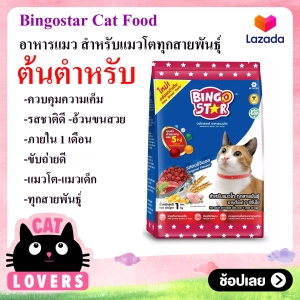 ภาพหน้าปกสินค้า[1 ถุง] Bingostar Premium Cat Food Original 26 % 1 kg /อาหารแมว บิงโกสตาร์แบบเม็ด พรีเมี่ยมรสดั้งเดิม 26% 1 กิโลกรัม ที่เกี่ยวข้อง