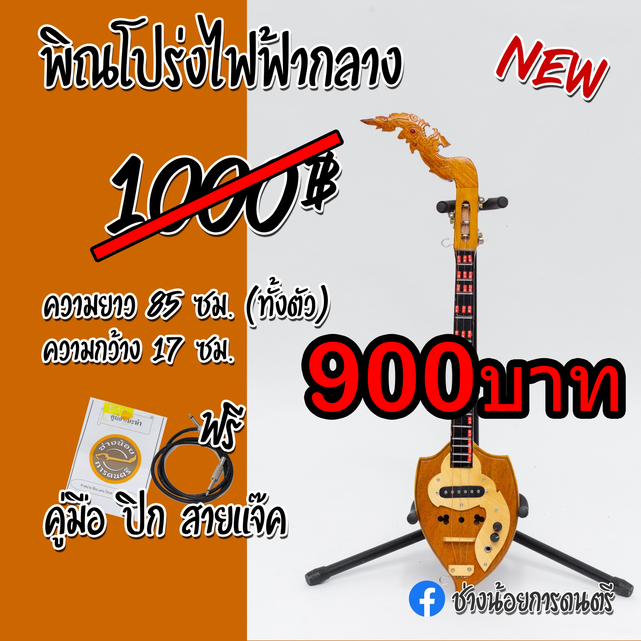 พิณโปร่งไฟฟ้ากลาง(ใหม่)