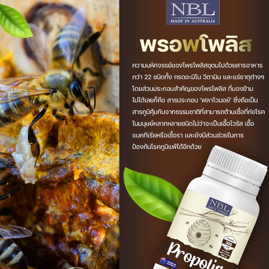 NBL Propolis - โพรโพลิส (30 Capsules) - Macro Aussy - ThaiPick