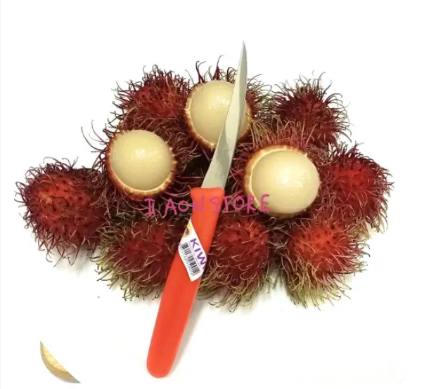 มีดคว้านเงาะ มีดคว้านผลไม้ มีดคว้านเมล็ด มีดแกะสลัก มีดทำครัว มีดkiwi 001 (มีดกีวี )ด้ามพลาสติกสีแดง 3 นิ้ว พร้อมซองเก็บพลาสติกแถมฟรี