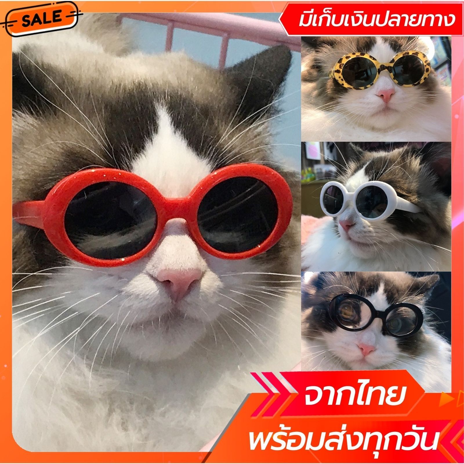 แว่นแมว แว่นสุนัขพันธ์เล็ก แว่นตาหมา แว่นตาแมว แว่นแมวพร้อมส่งจากไทย เก็บเงินปลายทางได้
