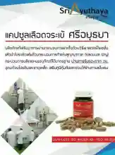 ภาพขนาดย่อของภาพหน้าปกสินค้าศรีอยุธยา แคปซูลเลือดจระเข้ (Crocodile Blood Capsule) จากร้าน BBNawakron บน Lazada ภาพที่ 4