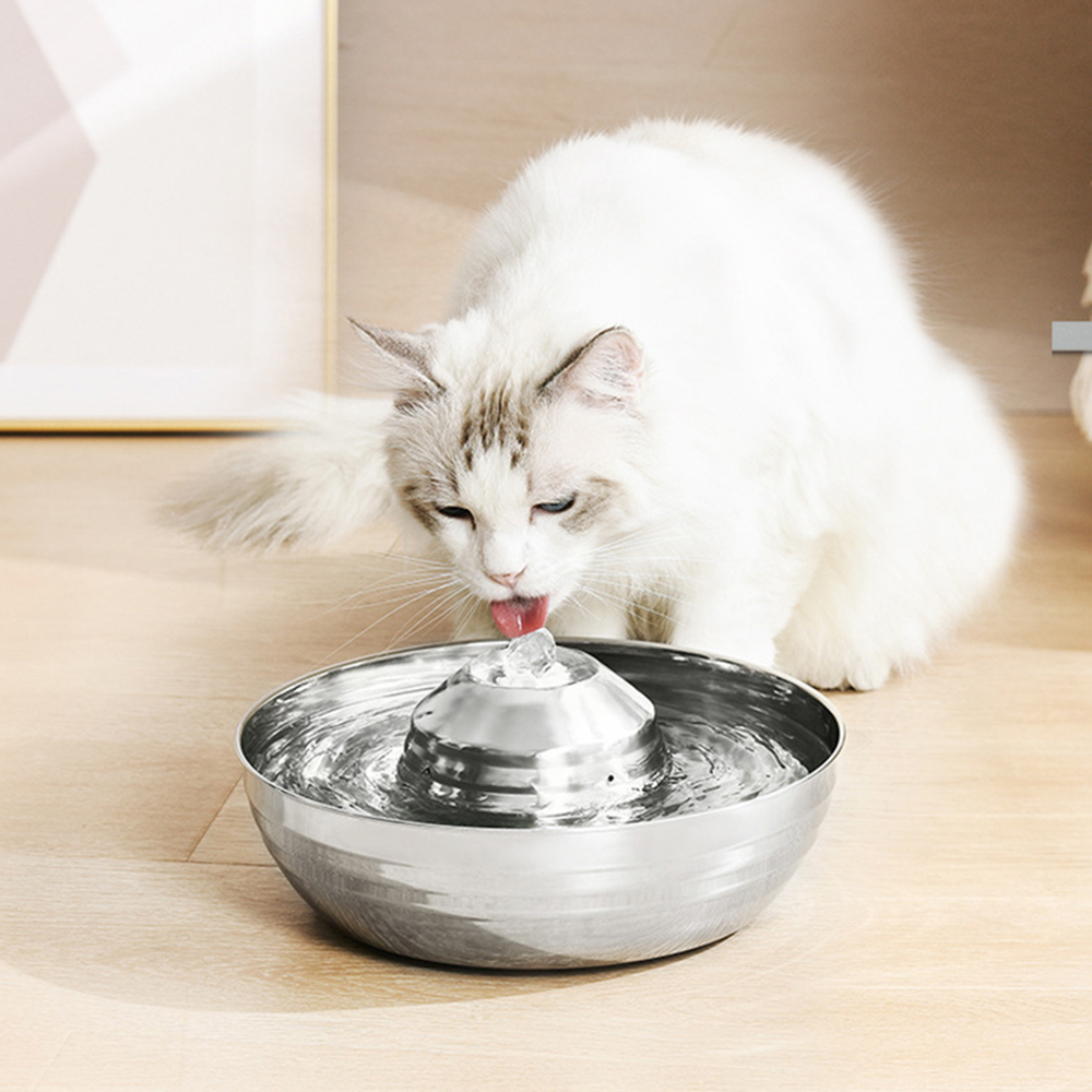 Stainless Steel Pet Drinking Fountain Dog Cat Water Fountain for Cats
