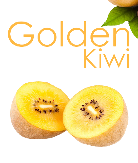 Golden Kiwi  หรือ กีวี่สีทอง วิตามินซีสูง 3 เท่า ลูกจัมโบ้มาก (ราคาต่อลูกนะคะ)