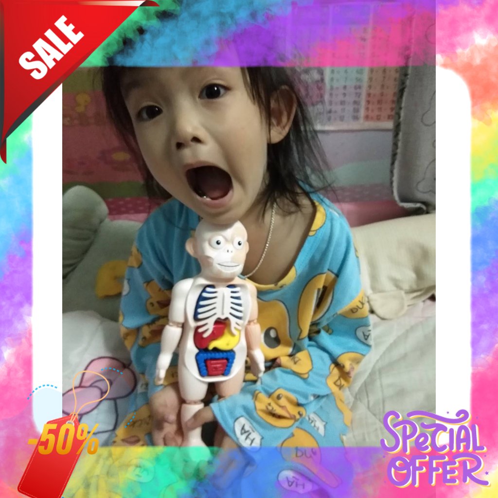 Human Body ของเล่นโมเดลมนุษย์จำลอง อวัยวะชิ้นส่วนสามารถถอดประกอบได้